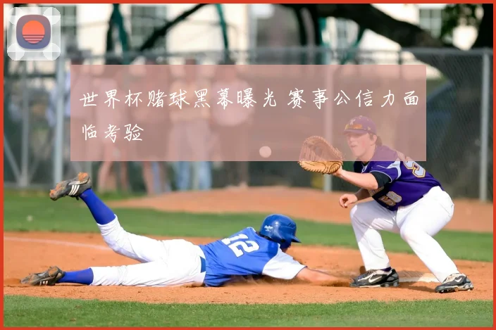 世界杯赌球黑幕曝光 赛事公信力面临考验