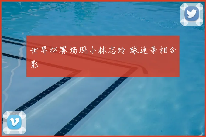 世界杯赛场现小林志玲 球迷争相合影