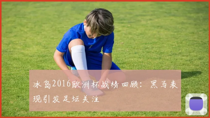 冰岛2016欧洲杯战绩回顾：黑马表现引发足坛关注