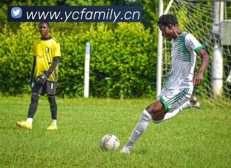 开云手机web版登录入口 - 开云(中国)平台生态图